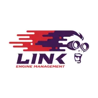 Link Ecu-Електронні блоки управління двигуном