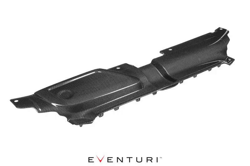 Eventuri EVE-RS4-CF-SLM Carbon Fibre Slam Panel - Audi B8 RS4 №2