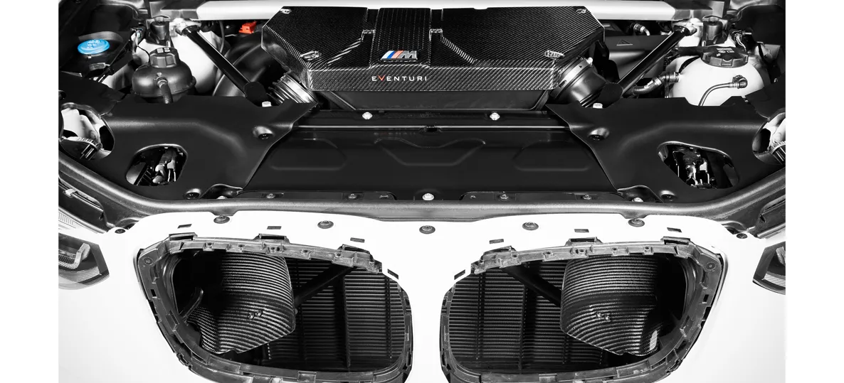 EVENTURI EVE-FX34M-V2-INT Система впуска карбон BMW X3M (F97) / X4M (F98) 2019- №4