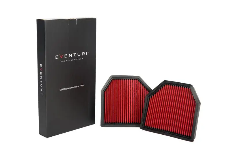 Eventuri EVE-F10M5-PF Panel Filters - BMW F10 M5 | F06/F12/F13 M6