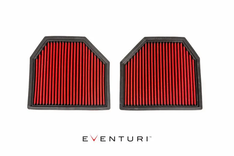 Eventuri EVE-F10M5-PF Panel Filters - BMW F10 M5 | F06/F12/F13 M6 №2